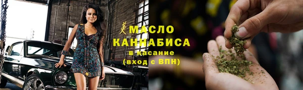 тгк Богородицк