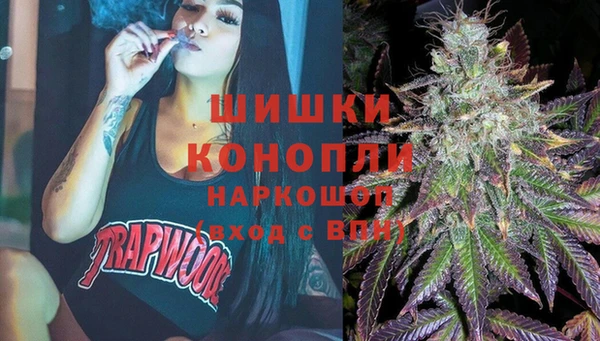 тгк Богородицк