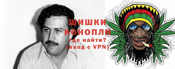 тгк Богородицк