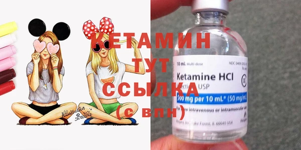 спиды Богданович