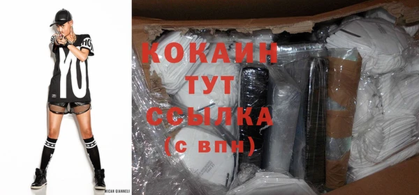 спиды Богданович